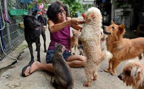 Ms Cathy Strong founded the Animal Lovers League